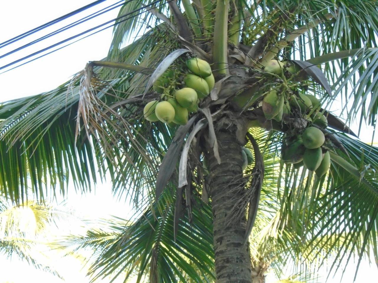 Em Grande - Frente Ao Mar Praia Grande (Santos)